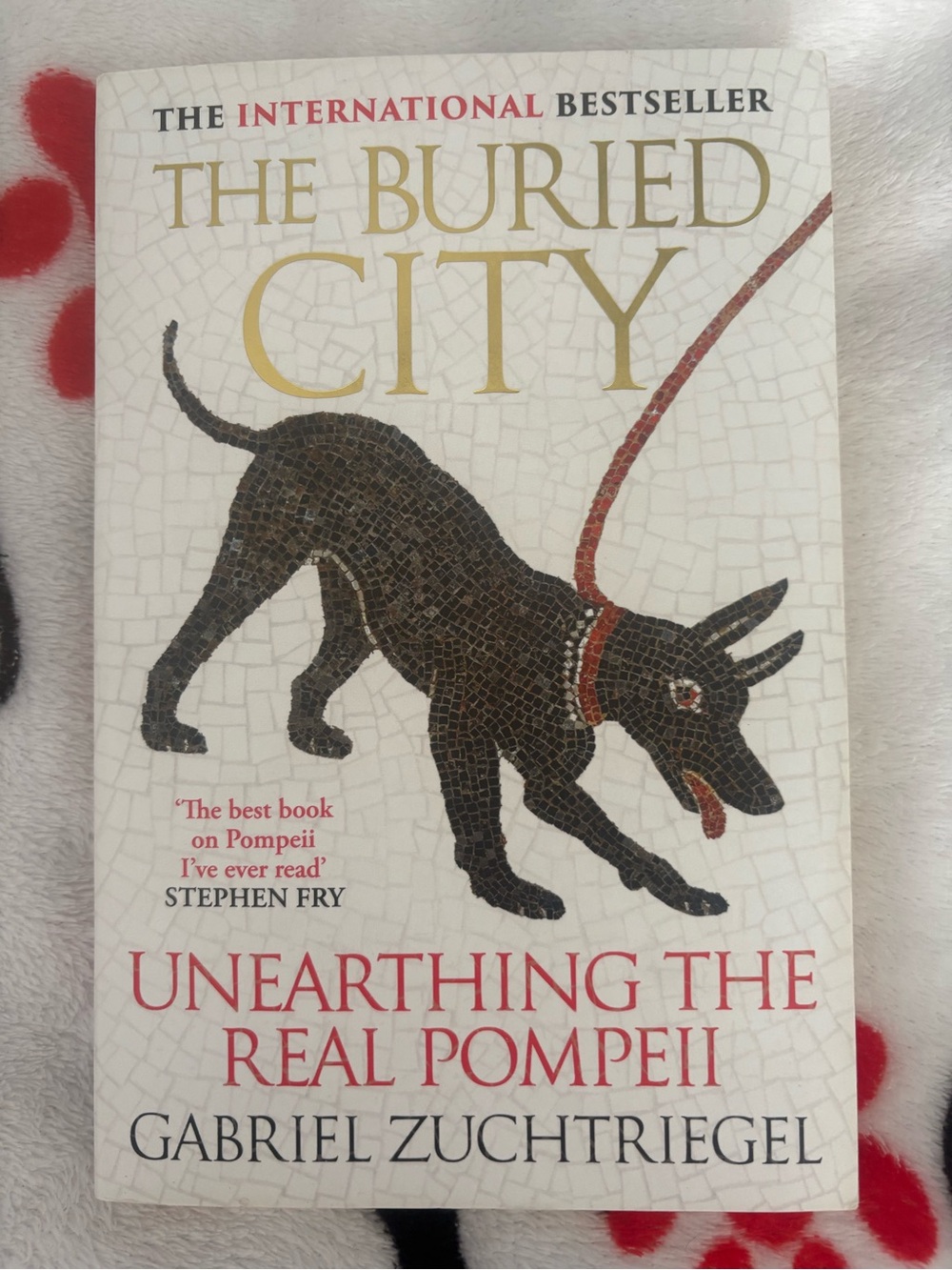 The Buried City - Unearthing the Real Pompeii book from Italy NWT